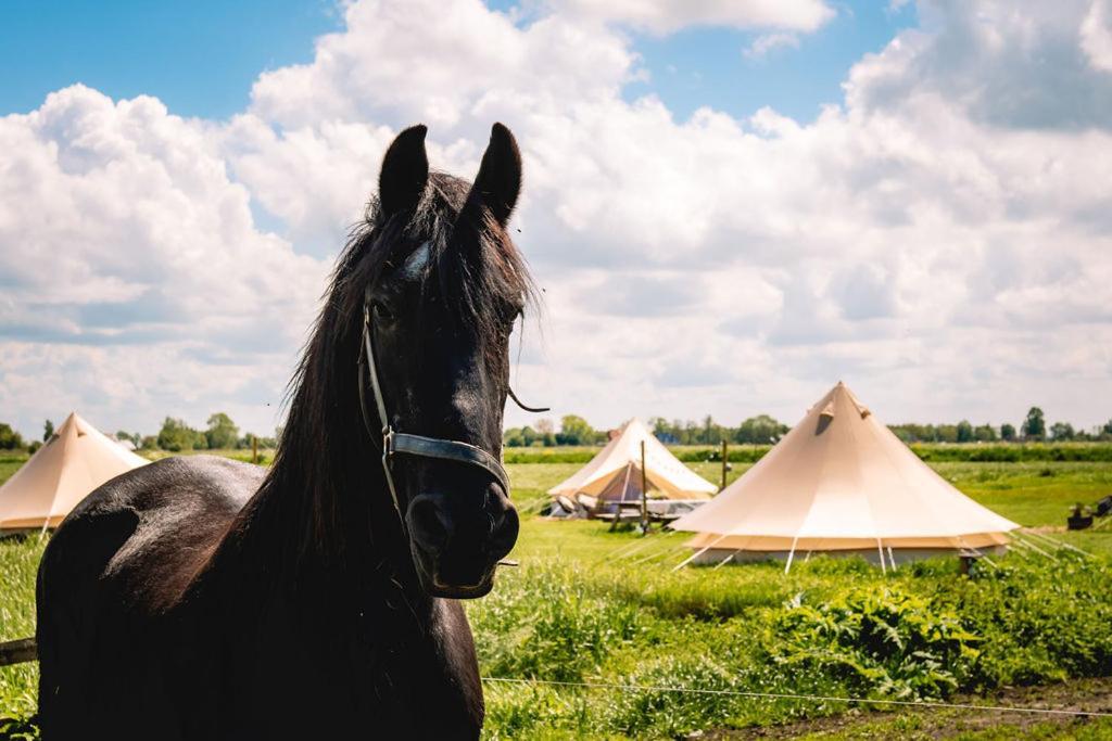 Smuk Lytse Bell Tent Echtenerbrug Luaran gambar